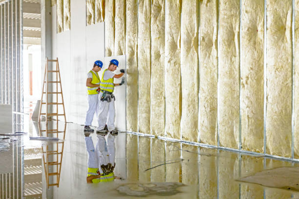 Best DIY Insulation Kits and Guidance in Oakland, NJ